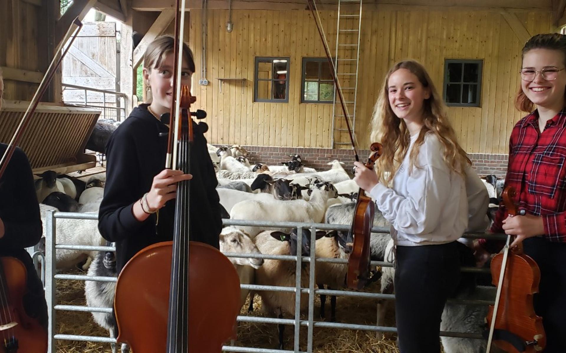Dirigente Saskia Rozeveld in de schaapskooi in Orvelte: ,,Het is heel speciaal om met het orkest op 