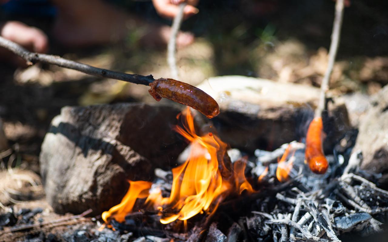 Vuur was van belang voor de oermens: „Uit gegaard vlees valt zoveel meer energie te halen.”