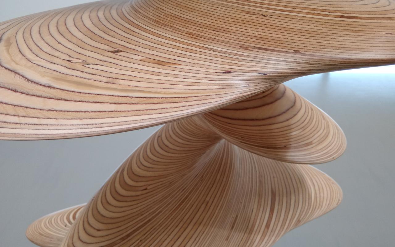 Detail van een werk van Tony Cragg, afgelopen jaar te zien in museum Belvédère in Heerenveen. Detail van een werk van Tony Cragg, afgelopen jaar te zien in museum Belvédère in Heerenveen.