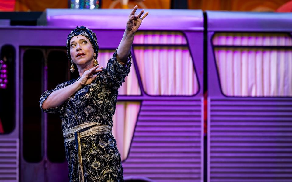 Gerben Grimmius speelt momenteel de hoofdrol in de musical Priscilla, Königin der Wüste.