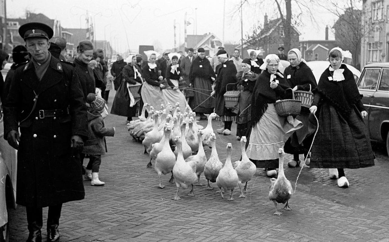 Het binnendrijven van de ganzen. Het binnendrijven van de ganzen.
