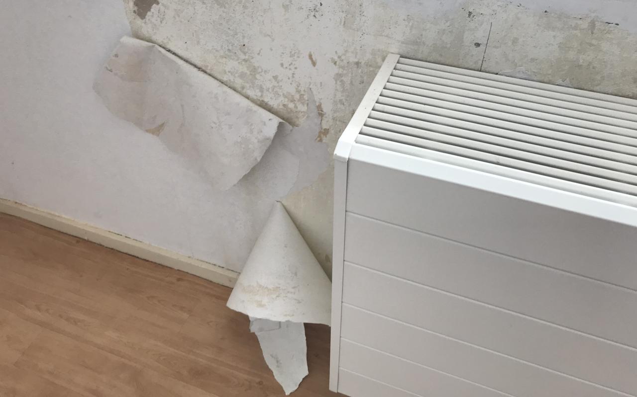 Het behang bladdert van de muur na de renovatie. Het behang bladdert van de muur na de renovatie.