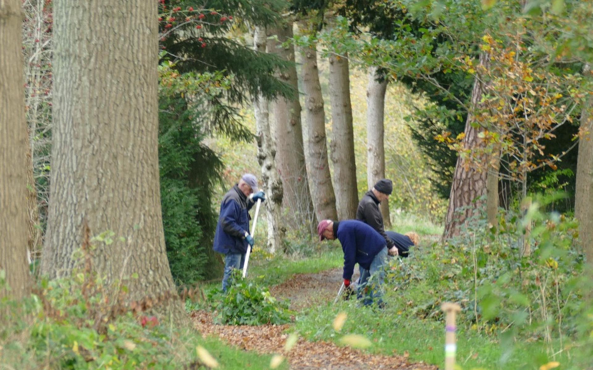 Handen uit de mouwen op Natuurwerkdag. Kyllotsbos in Smilde ligt er weer keurig bij