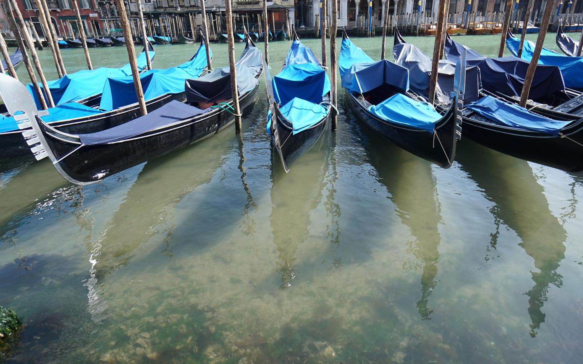 De coronacrisis zorgde al snel voor helder water in de kanalen van Venetië.