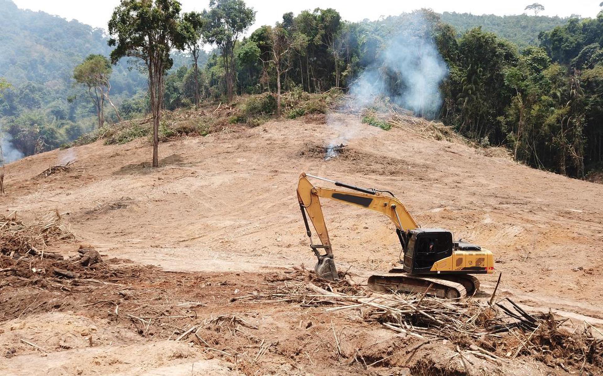 Ontbossing op Borneo om ruimte te maken voor een palmolieplantage.