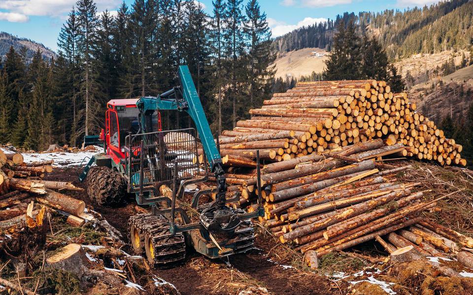 Buitensporige houtkap bedreigt over de hele wereld de bos-ecologie.