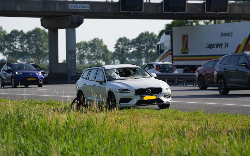 Verwarring door storing seinen Driebondsbrug in Groningen en automobilist gewond door aanrijding met ree op A28.