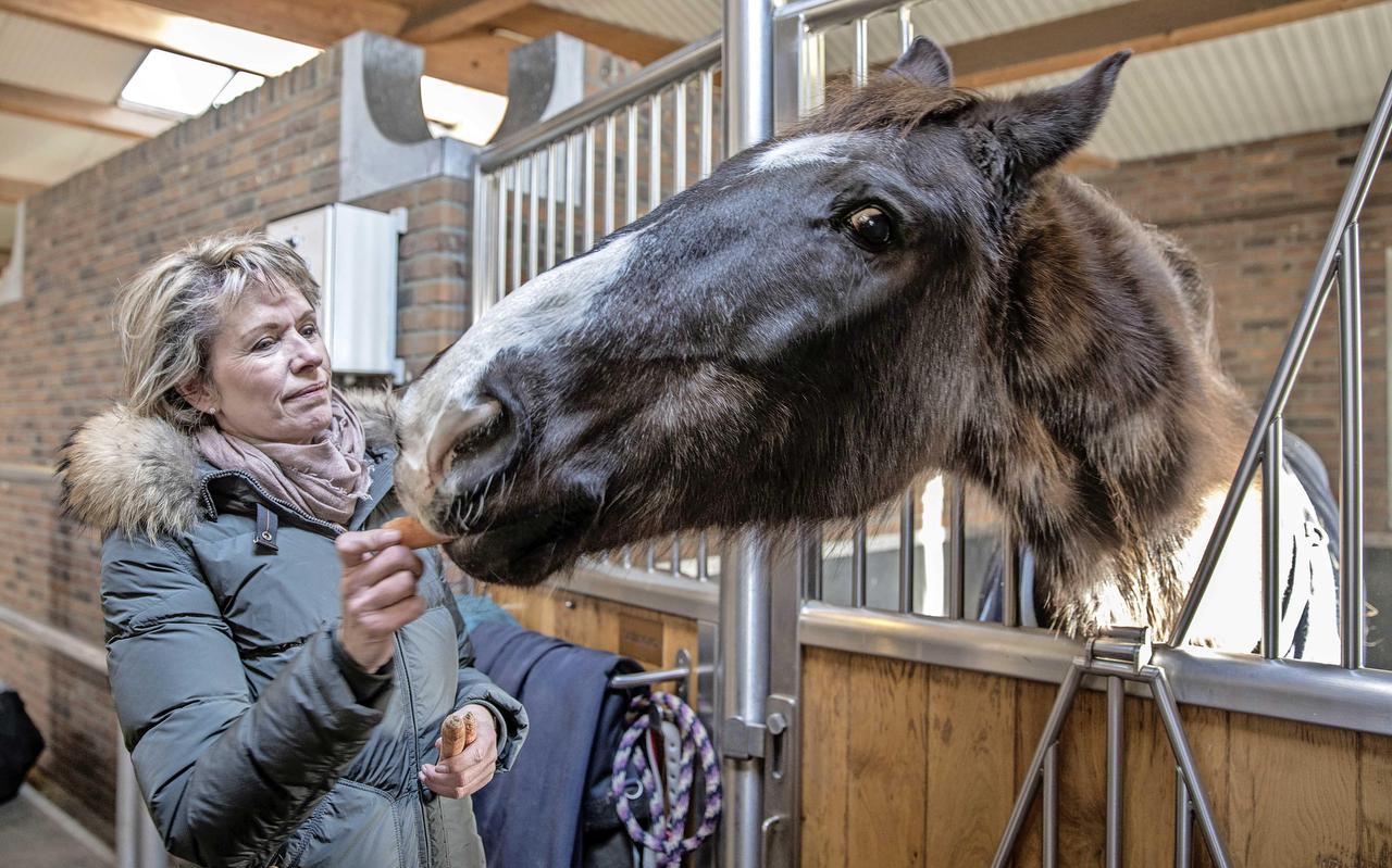Anky van Grunsven met paard Salinero