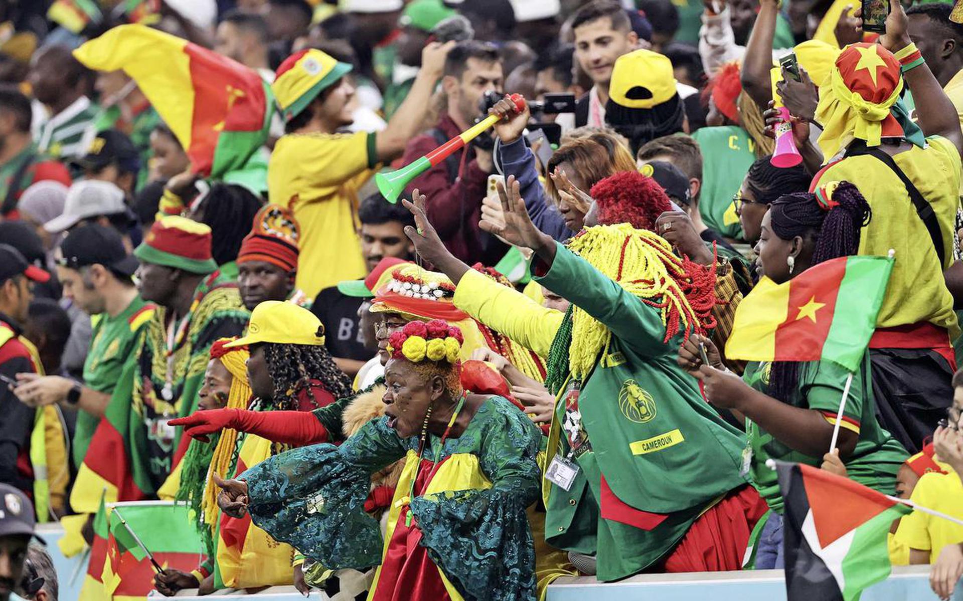 Fans van Kameroen.