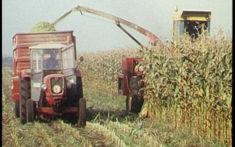 Films van Toen: Maïs oogsten