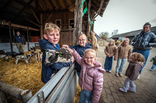 Lammetjesdag op Zorgboerderij Het Hof is een succes. 'Hoe groot je ook bent, je wordt klein van een 