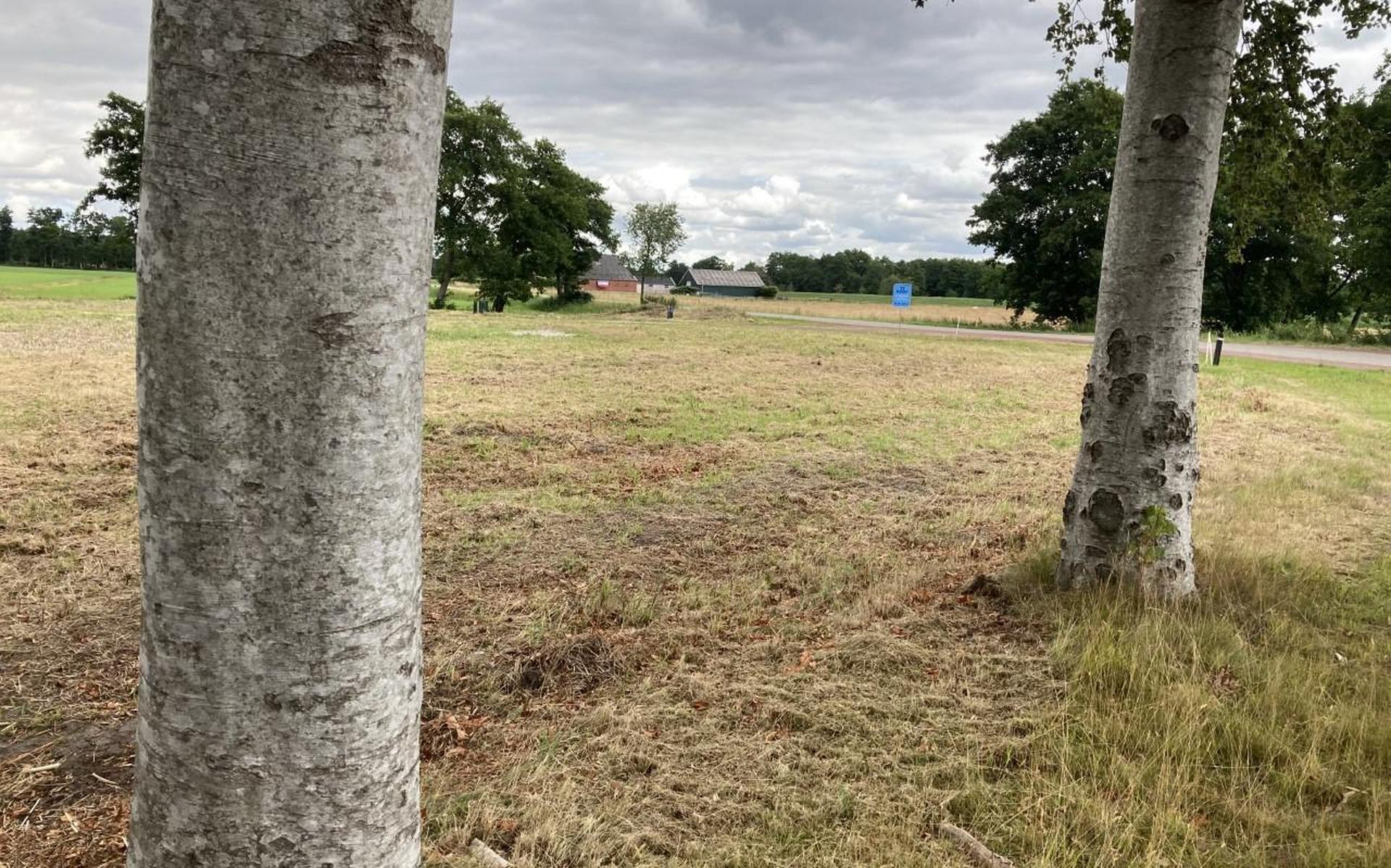 Nieuw seksbedrijf van de baan in Midwolde