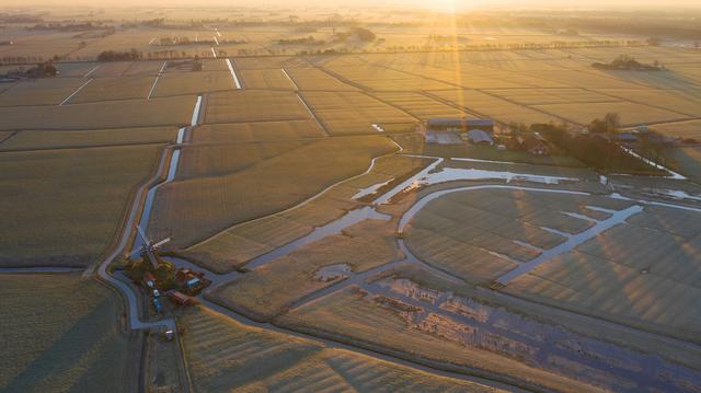 Groninger Landschap koopt grond bij Bedum voor grutto, kievit en tureluur