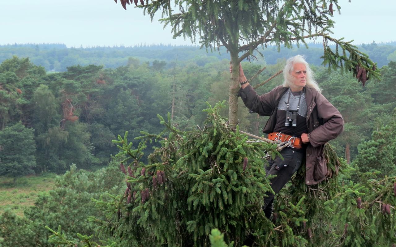 Rob Bijlsma in de top van een fijnspar op Berkenheuvel. ,,Je zit met open ogen, oren en neusgaten. En ondertussen denk je na over de wereld.'' Rob Bijlsma in de top van een fijnspar op Berkenheuvel. ,,Je zit met open ogen, oren en neusgaten. En ondertussen denk je na over de wereld.''