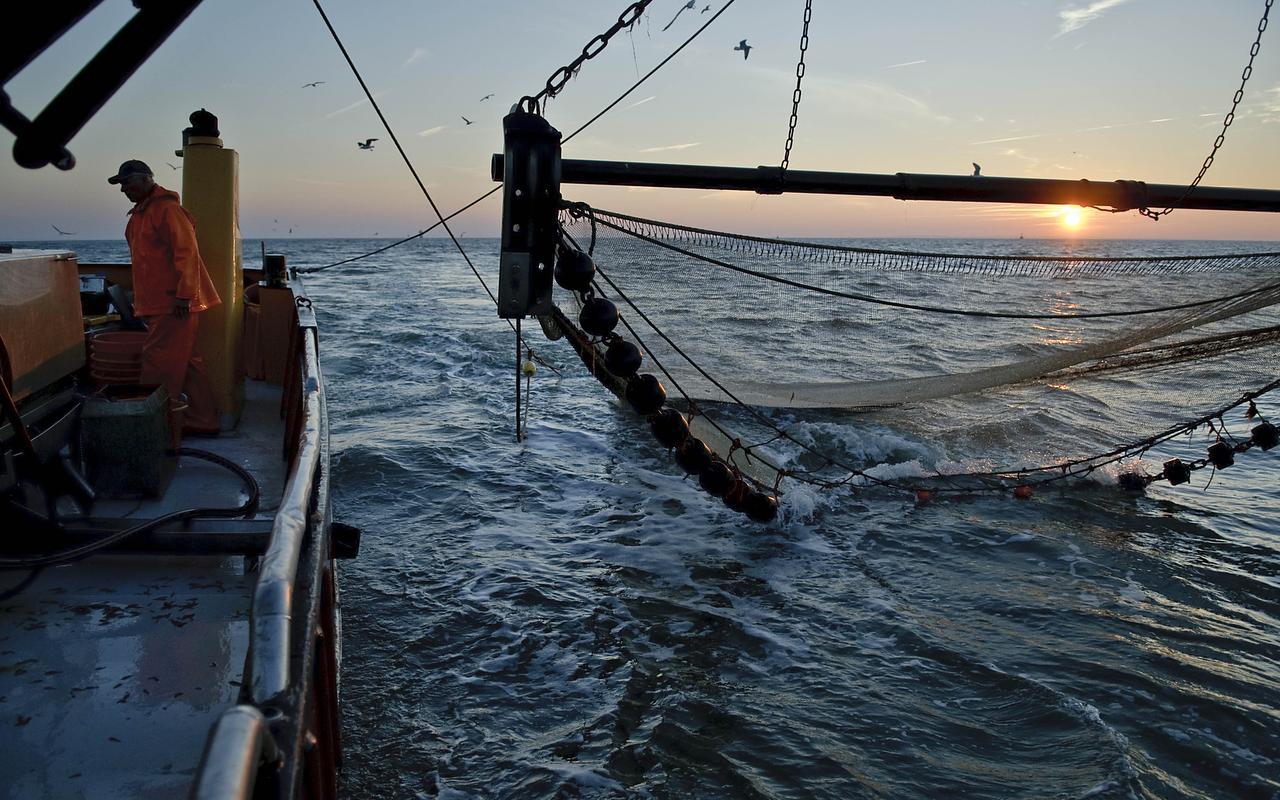 Dringen op de Noordzee: hoeveel ruimte is er nog? - Dagblad van het Noorden