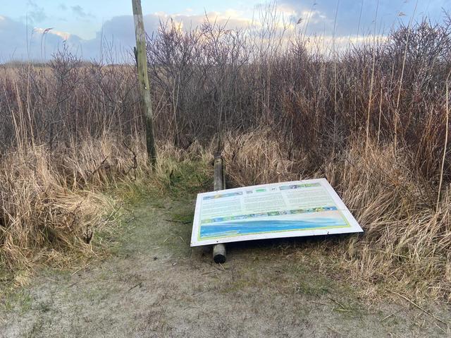 Rommel blijft liggen in Amelander natuur: Rijkswaterstaat stopt, gemeente beraadt zich