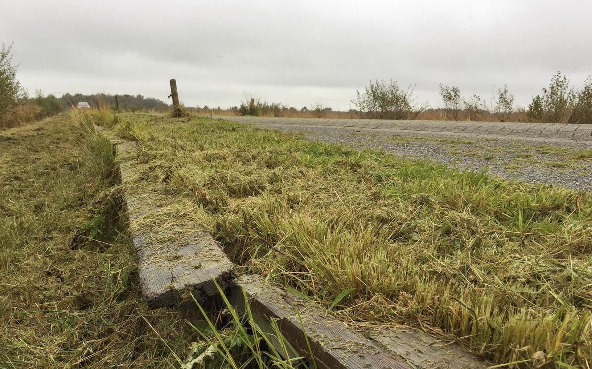 Kikkerdrama Fochteloo mede door slecht onderhoud - Dagblad van het Noorden - Dagblad van het Noorden