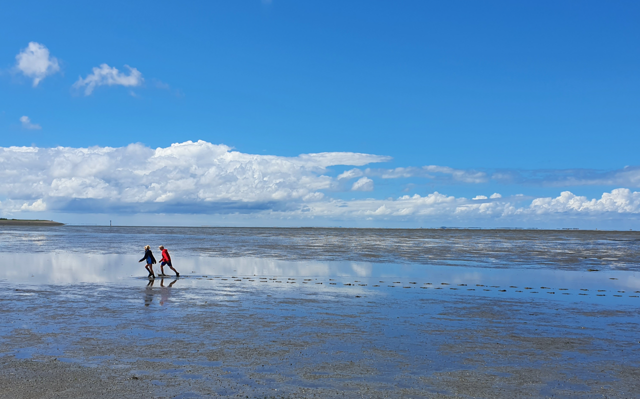 Het wad. Het wad.