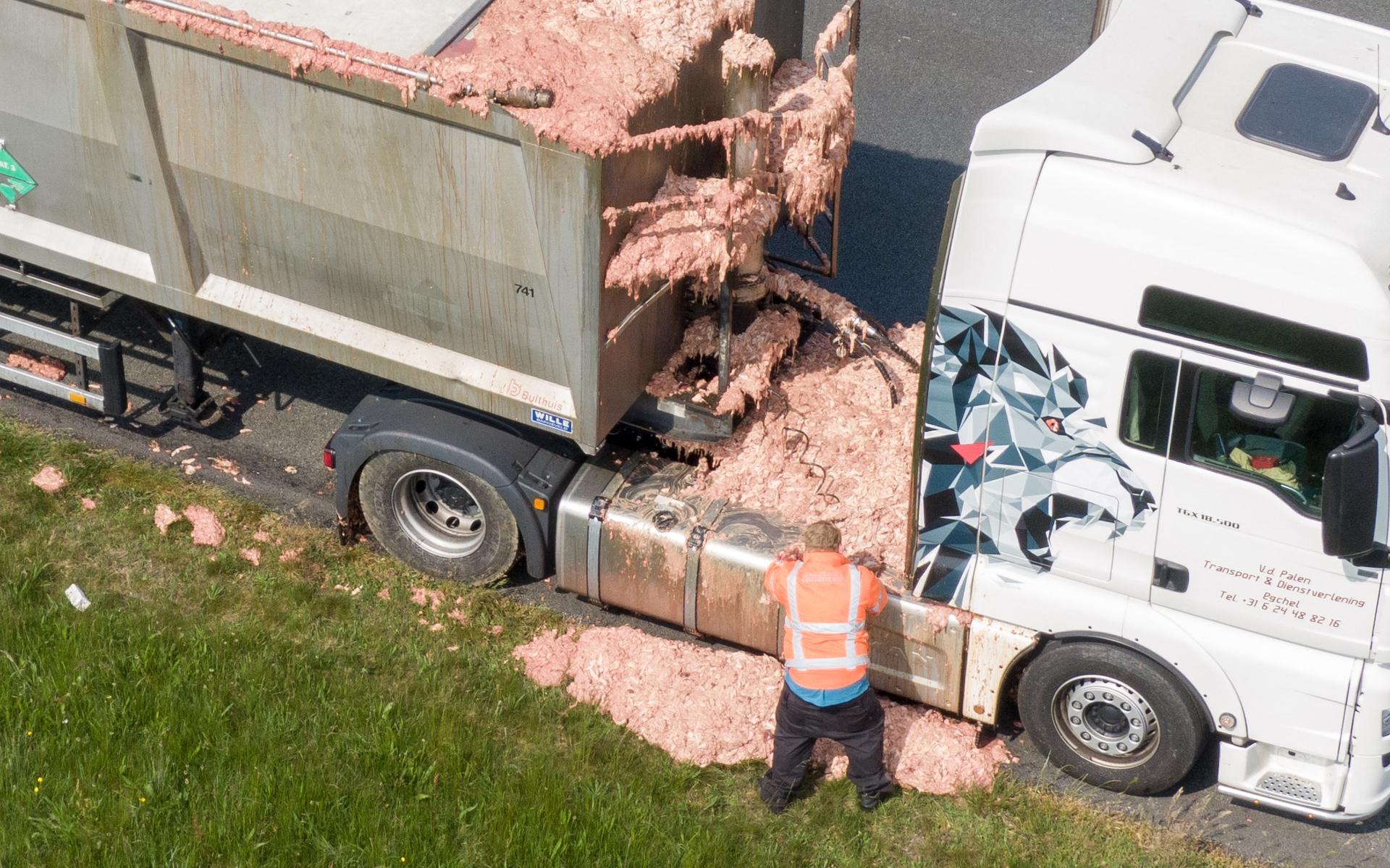 Slachtafval op de A7 zorgt voor vertraging bij Tjalleberd richting Groningen: 'Het stinkt'