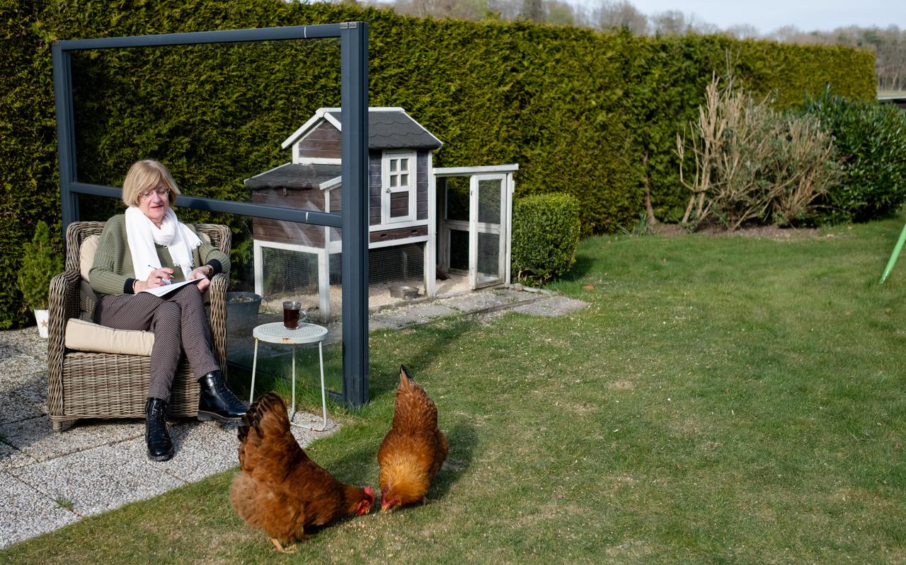 Greet Beerman schrijvend in haar tuin in Borger met haar kipjes, waarover ze twee kinderboeken heeft geschreven