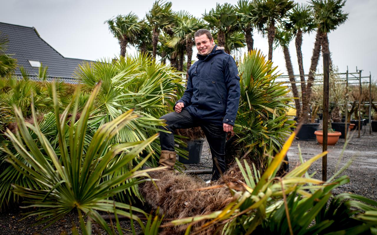Jezus Leeft-voorman in Smallingerland en ondernemer Gjalt-Jan Teeninga zou het winkelcentrum van Drachten graag een meer exotisch tintje geven door palmbomen te plaatsen. Jezus Leeft-voorman in Smallingerland en ondernemer Gjalt-Jan Teeninga zou het winkelcentrum van Drachten graag een meer exotisch tintje geven door palmbomen te plaatsen.