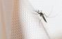 Een klamboe kan je beschermen tegen muggen.