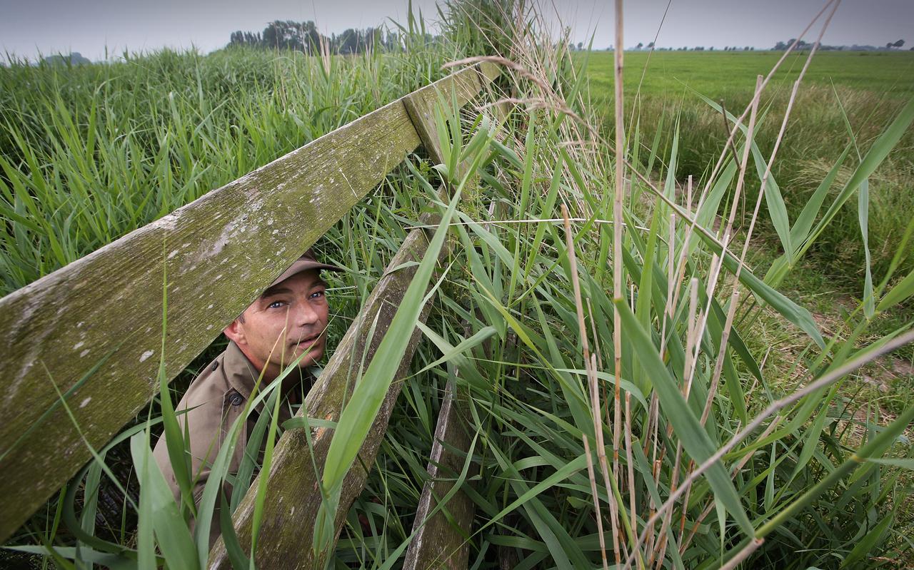Vogelwachter Harry Huizenga bekent: eigenlijk keek hij een paar weken geleden vanachter het hek in Kollumerpomp naar een groene woestijn. Vogelwachter Harry Huizenga bekent: eigenlijk keek hij een paar weken geleden vanachter het hek in Kollumerpomp naar een groene woestijn.