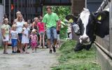 Melkveehouders die een open dag organiseren scoren punten om bij de Rabobank in aanmerking te komen voor een rentekorting. 