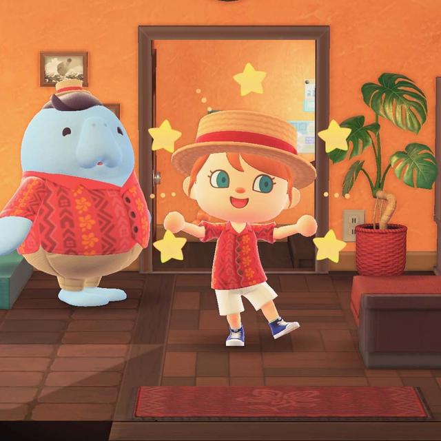 Beeld uit Animal Crossing Happy Home Paradise
