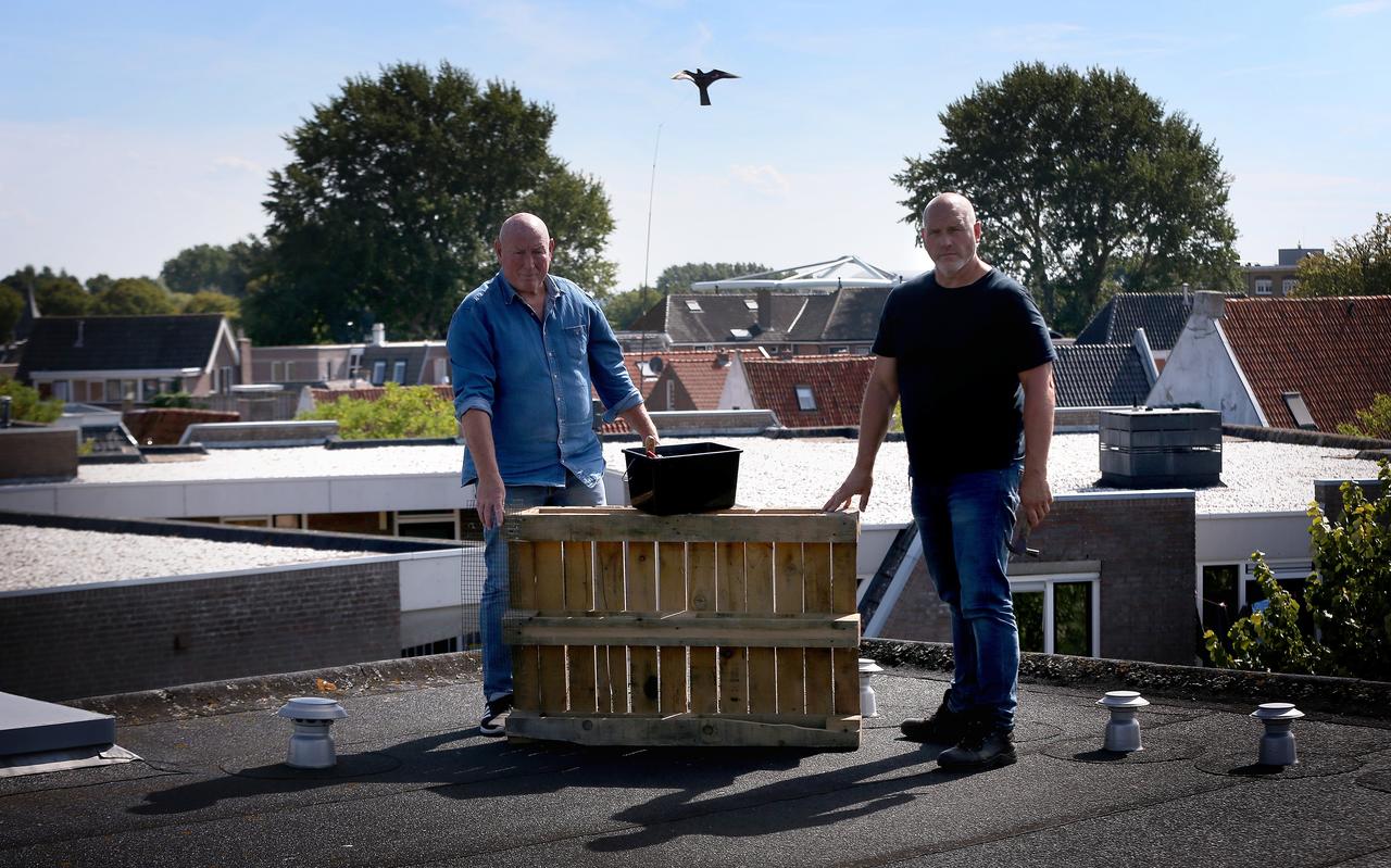 Arend Kuiper en Gerrit Verbruggen bekommeren zich om de visdieven, de vogels worden gedwongen hun heil op daken te zoeken omdat hun natuurlijke broedplaatsen zijn verdwenen door toedoen van de mens. Arend Kuiper en Gerrit Verbruggen bekommeren zich om de visdieven, de vogels worden gedwongen hun heil op daken te zoeken omdat hun natuurlijke broedplaatsen zijn verdwenen door toedoen van de mens.