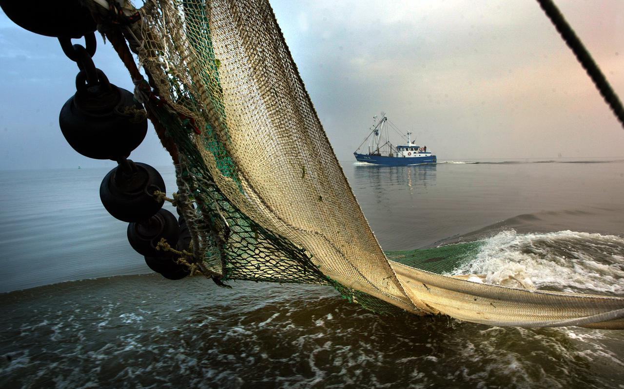 Negentien garnalenvissers op de Waddenzee hebben zich laten uitkopen.