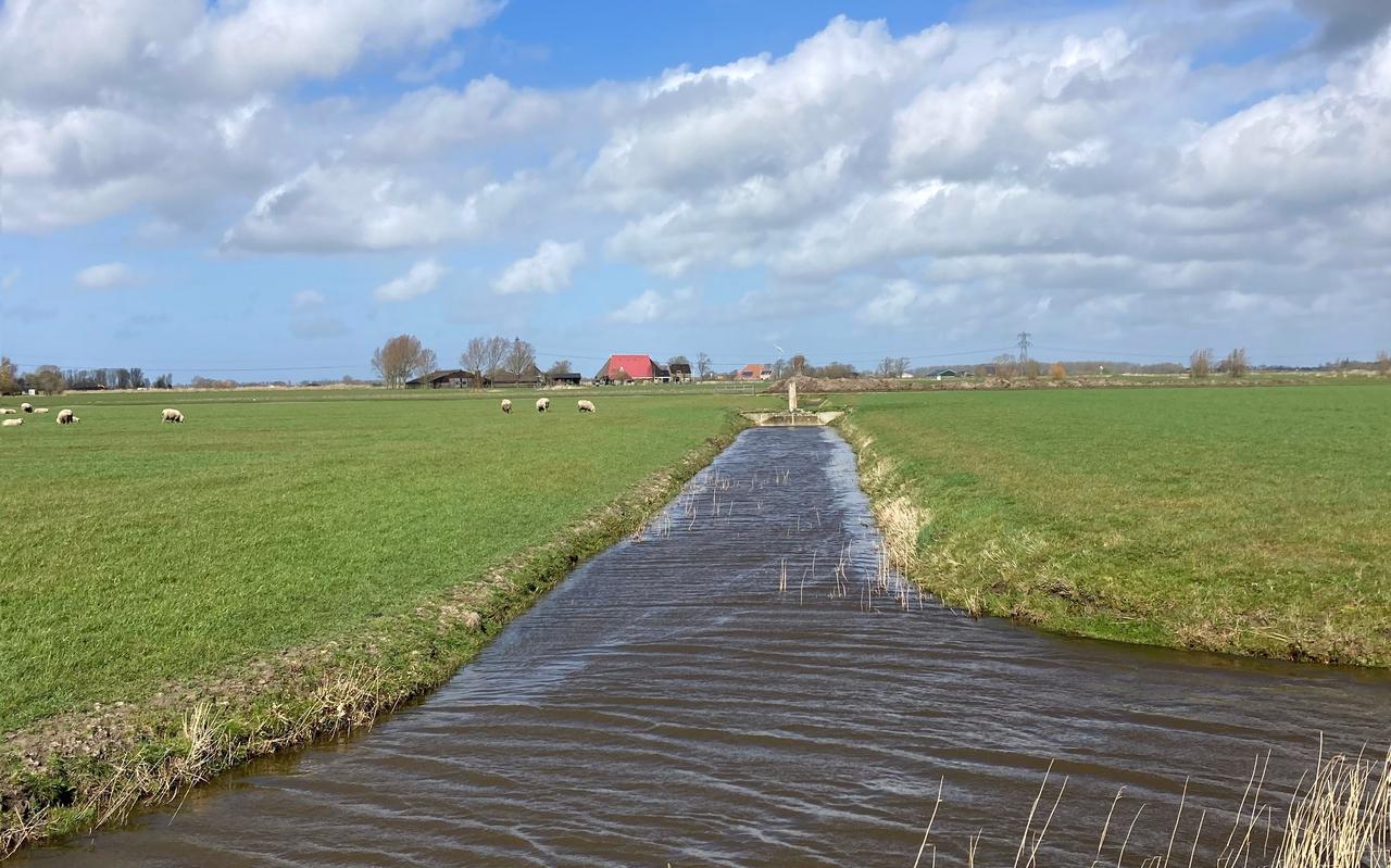 De prijs voor grasland in bleef vorig jaar in het Noorden achter bij het landelijk gemiddelde. De prijs voor grasland in bleef vorig jaar in het Noorden achter bij het landelijk gemiddelde.