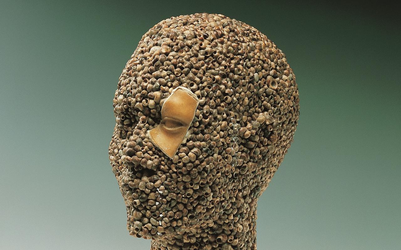 Memento Mori - foto John Stoel Memento Mori - foto John Stoel
