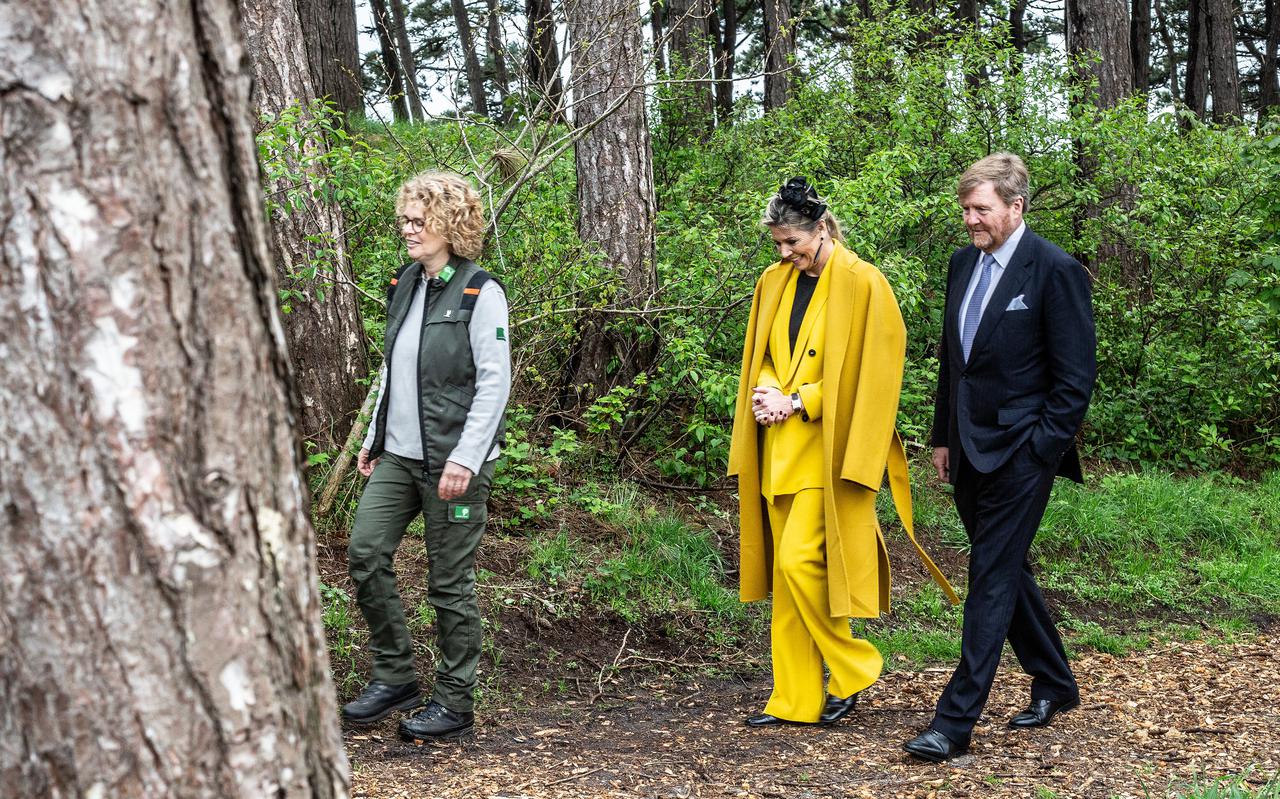 Boswachter Marjan Veenendaal wandelt met koning Willem-Alexander en koningin Máxima door het kweekbos in Nes.