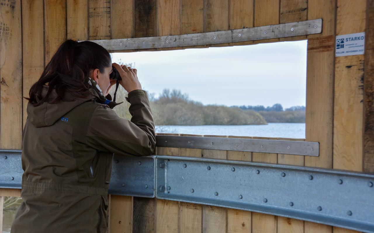 Boswachter Cynthia Borras bij het kijkscherm bij de Westerplas.
