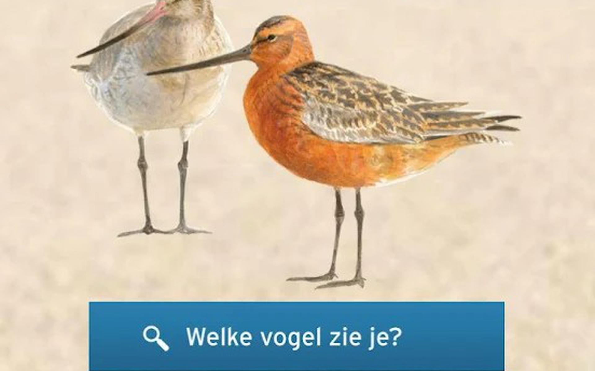 De app Wadvogel.