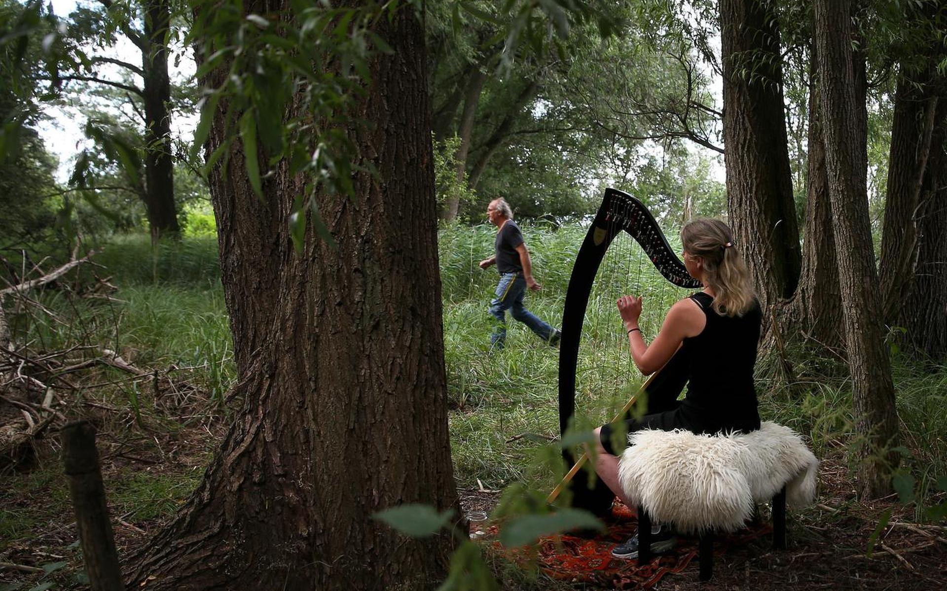 De bazige mens knevelt de natuur. 'Waarom mogen mensen wel vechten voor hun recht en bomen, rivieren