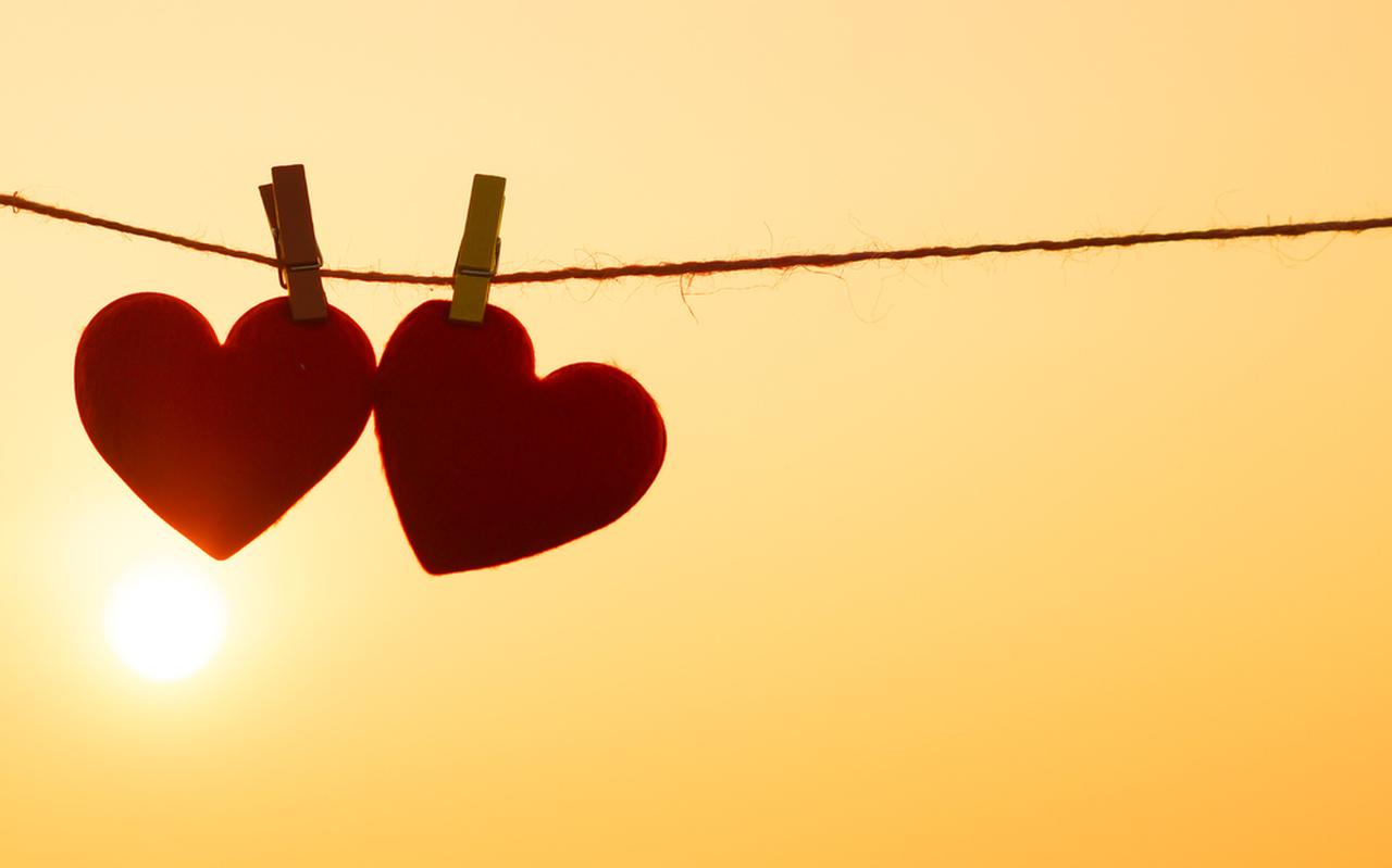 Foto: Shutterstock Foto: Shutterstock
