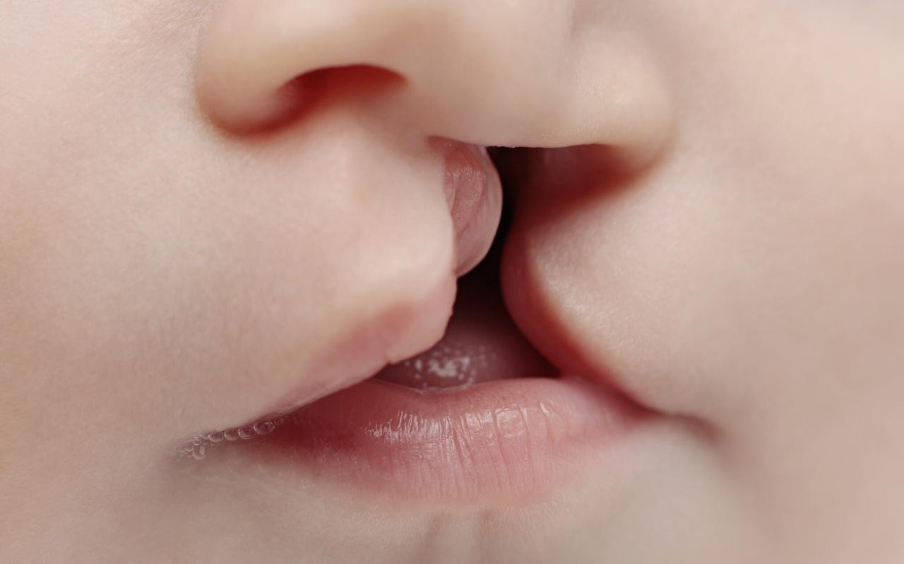 FOTO SHUTTERSTOCK FOTO SHUTTERSTOCK