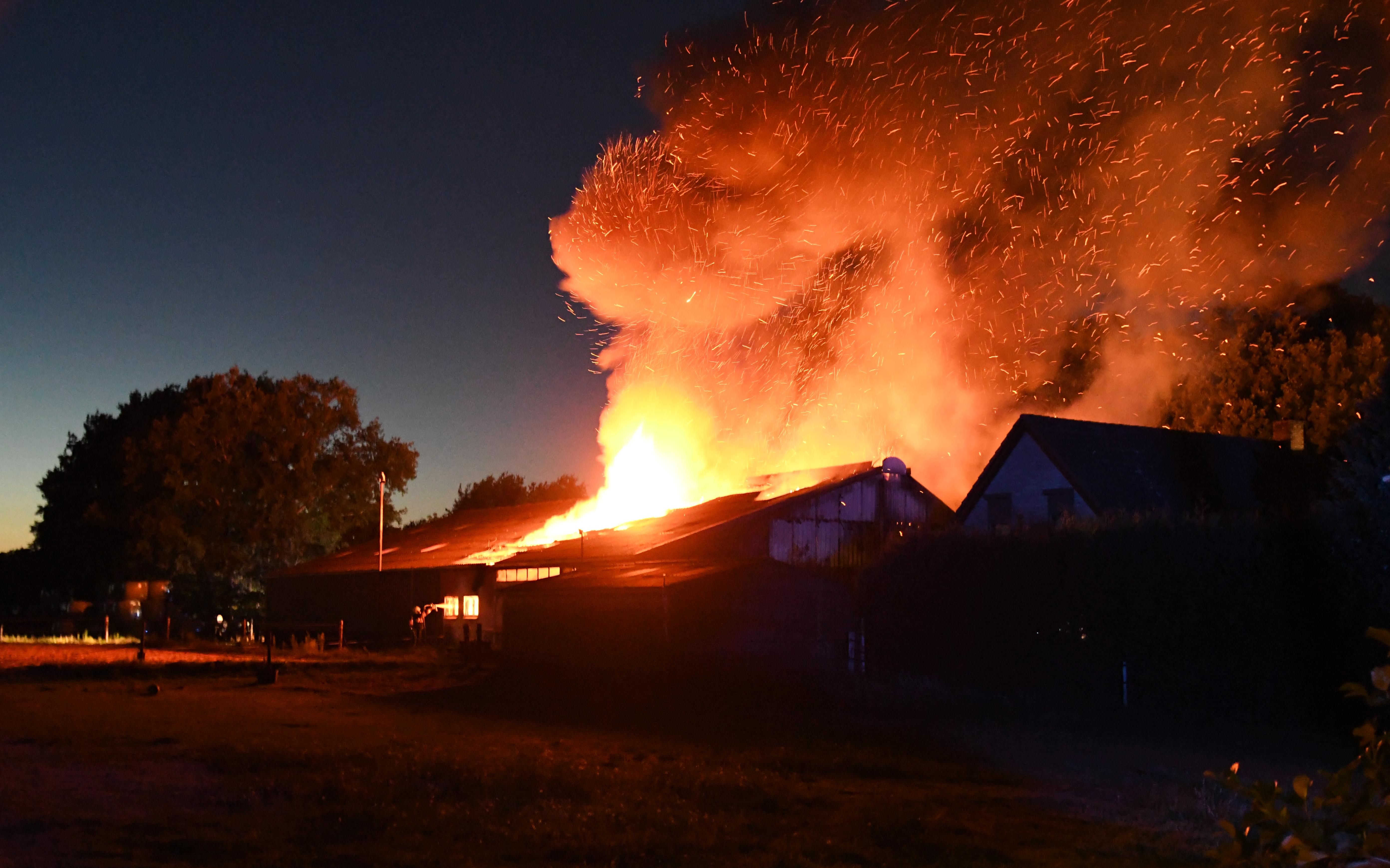 Zeer grote uitslaande brand in boerderij in Oldeberkoop: koeien zijn nog binnen