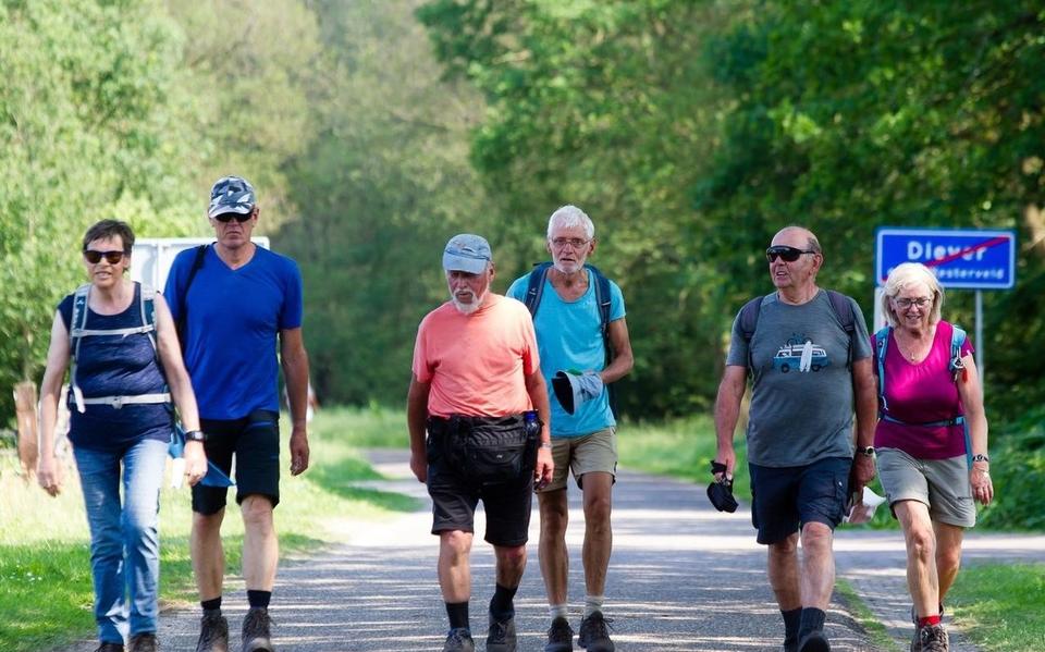 Aan de start van de Drents-Friese Wold Wandelvierdaagse verschijnen jaarlijks rond de 2.000 wandelaars. De wandelaars lopen vanuit Diever vier dagen lang de mooiste routes door Zuidwest-Drenthe.