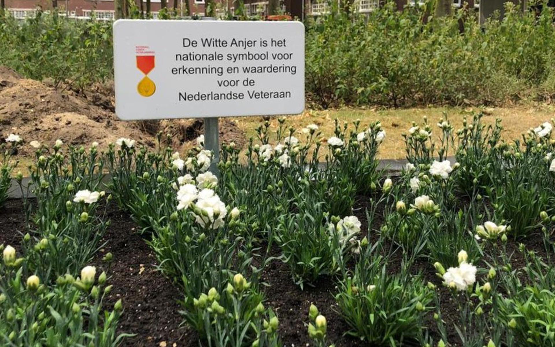 Gemeenteraad Emmen gaat unaniem akkoord met het aanleggen van een Witte Anjer Perkje als blijk van w